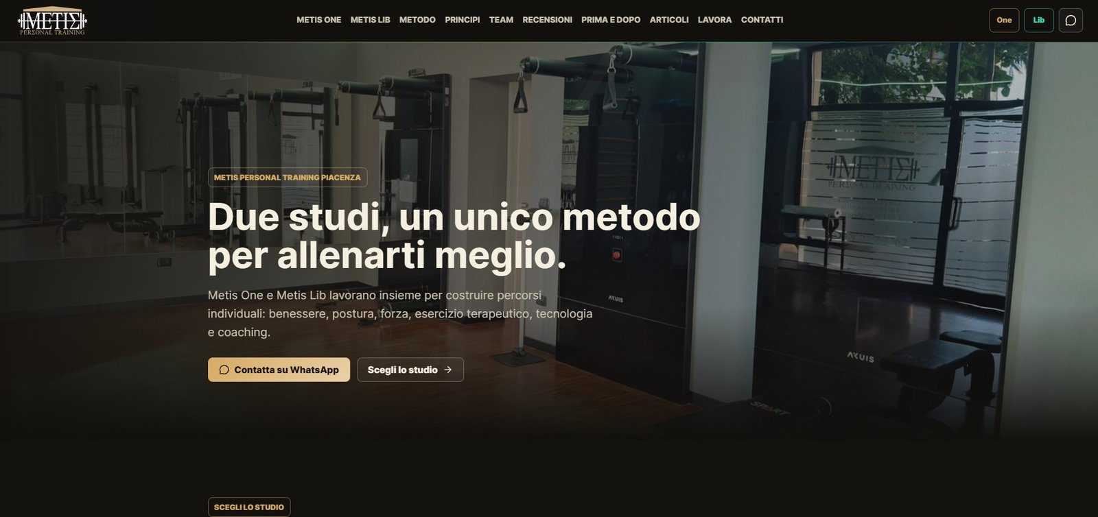 Anteprima del progetto Metis