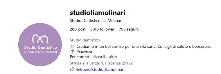 Screenshot del profilo Instagram dello Studio Lia Molinari